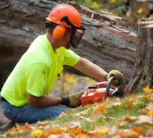 tree services Lyndonville